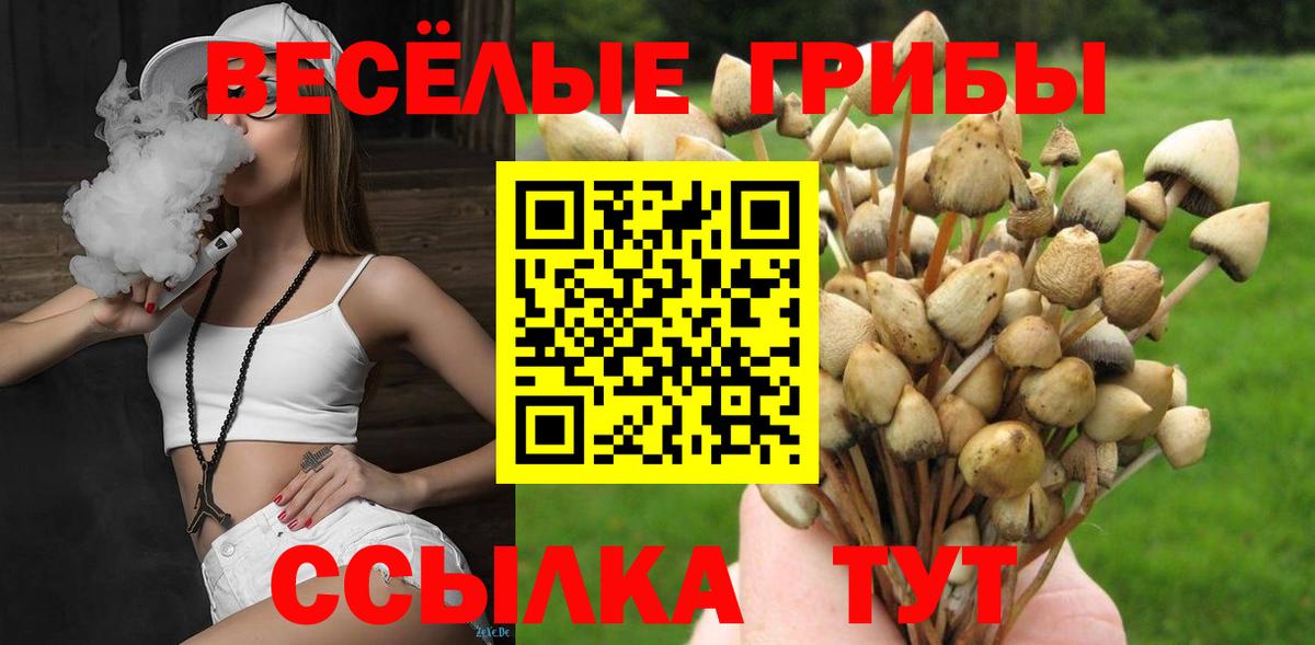 Галлюциногенные грибы Psilocybe Обнинск